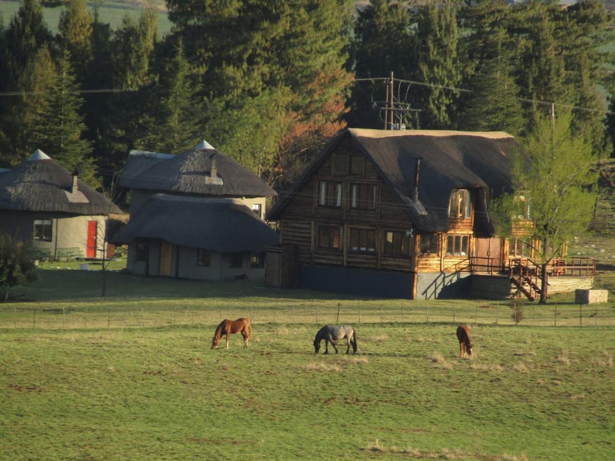 Khotso Lodge & Horse Trailsアンダーバーグ エクステリア 写真