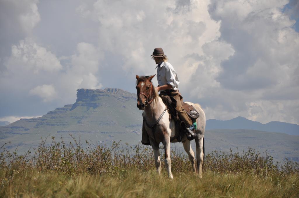 Khotso Lodge & Horse Trailsアンダーバーグ エクステリア 写真